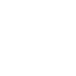 Logo équipe Denain U21