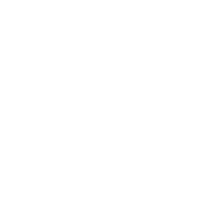 Logo équipe Stade Rochelais U21