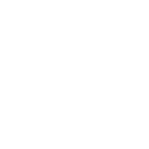 Logo équipe Roanne