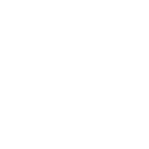 Logo équipe Blois