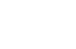 Logo AramisAuto