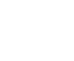 Logo DMS86