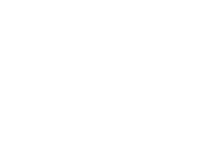 Logo IDEC SPORT