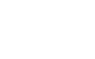 Logo PPF