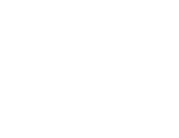 Logo Securit Dogman