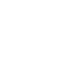 Logo Forte Impression