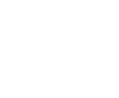 Logo NAE Depollution