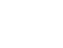 Logo Saigon Exotique